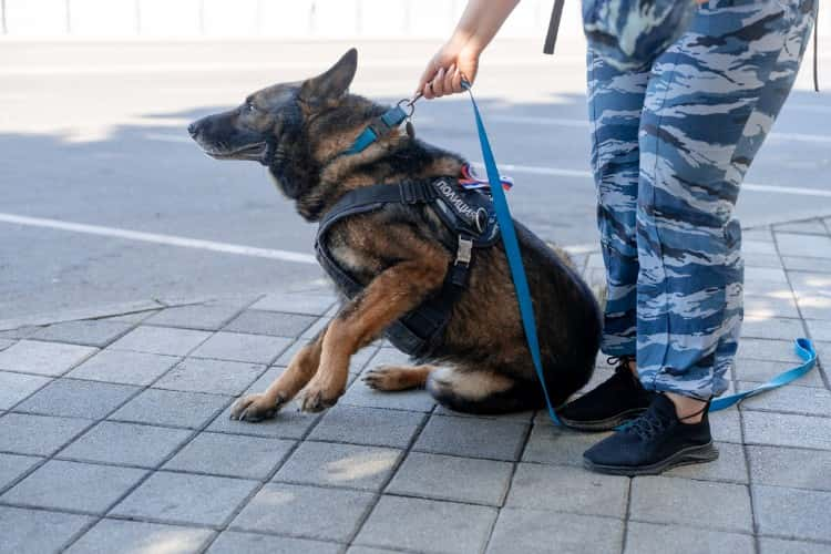 В Славянске-на-Кубани ликвидируют неразорвавшийся дрон