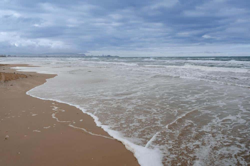 Косметику на основе водорослей создадут в Анапе