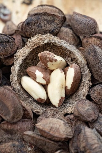 Фото: Freepik.com