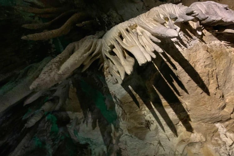 Фото: «Кубань Информ»