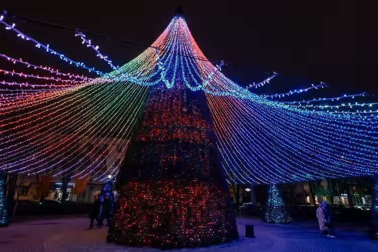 Фото: Геннадий Дьячук