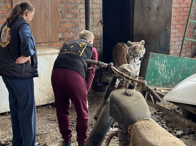 Фото: t.me/proc_23