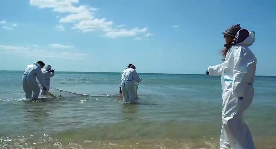 люди в море с сетями