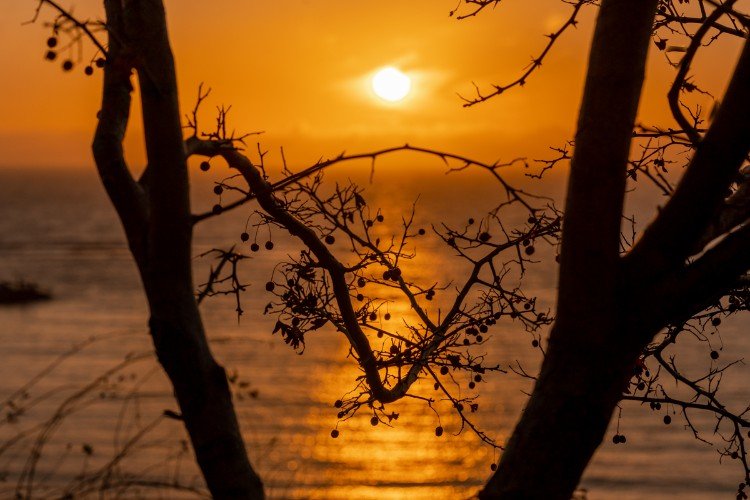 Вид на море