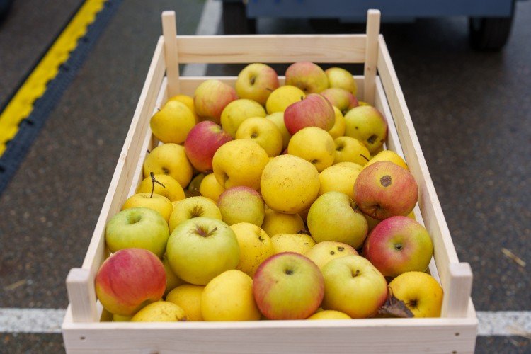 Яблоки в ящике