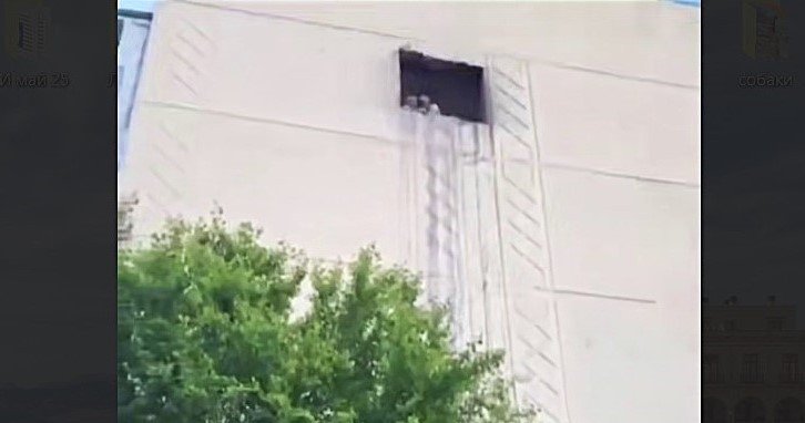 окно прорубили в торце дома