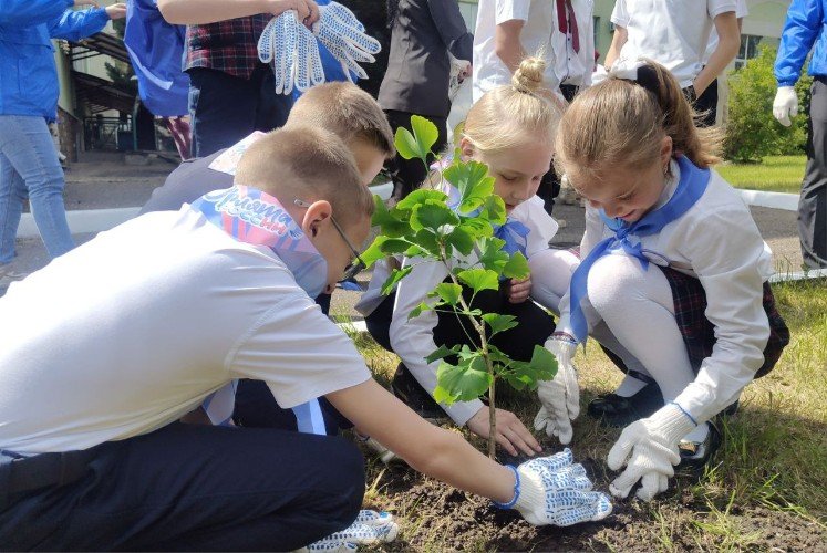 Дети сажают деревья