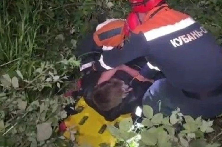 Скрин видео