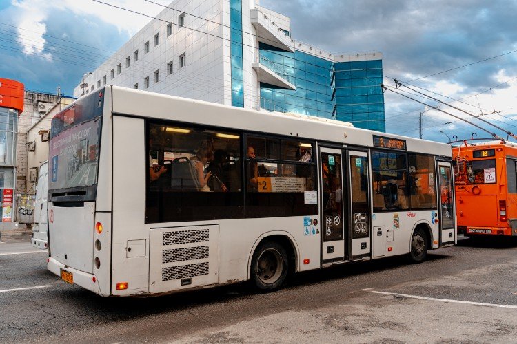 автобус стоит на дороге