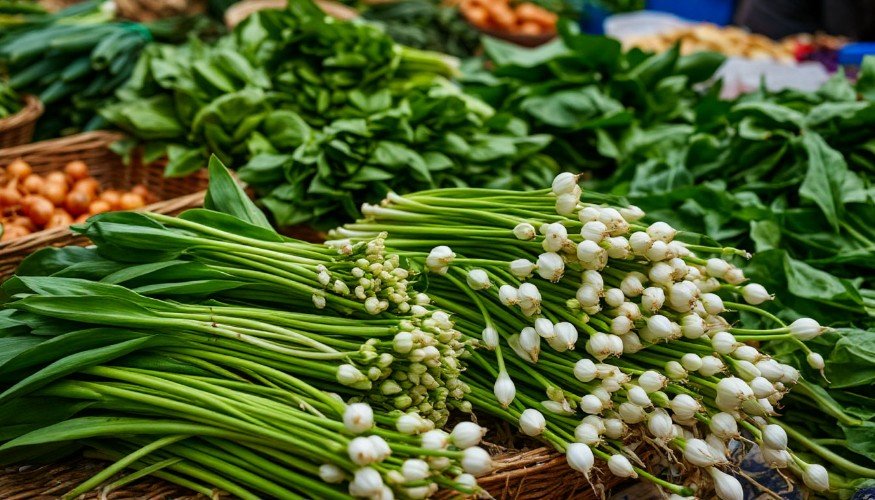 Черемша на торговых прилавках.