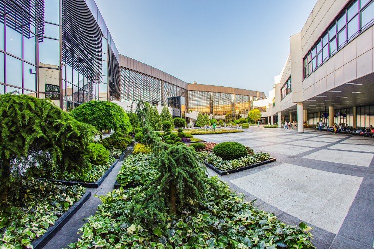 Аэропорт Сочи