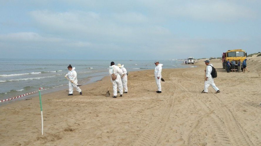 Уборка пляжа.