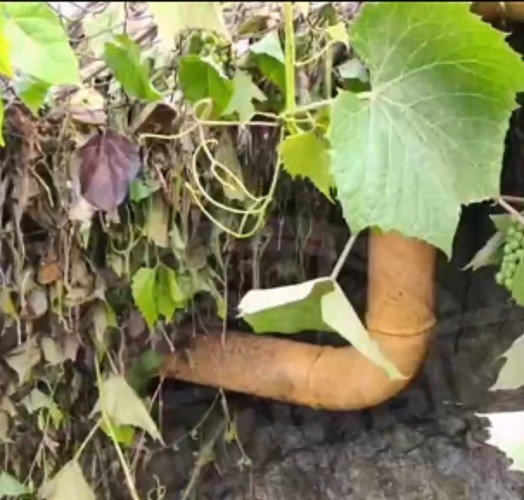 Оползень сошел на газовую трубу в Сочи