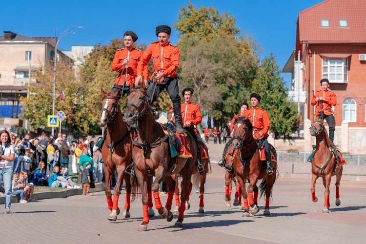 казаки едут на лошадях