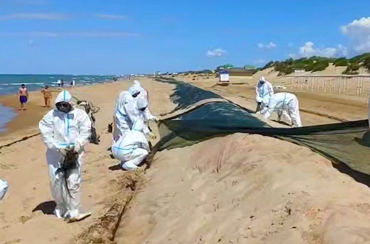 люди убирают сети