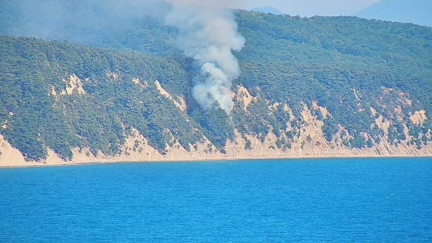 лес горит на горе