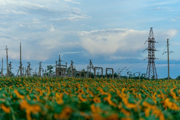 Обломки БПЛА рухнули вблизи станицы в Краснодарском крае