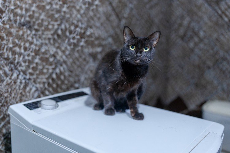 Россиян предупредили о штрафах за уборку квартиры ночью