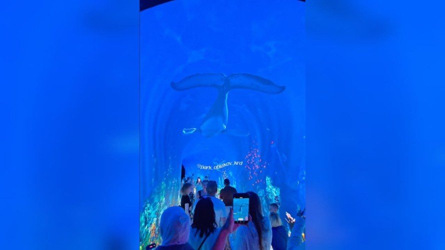 «Портал в сказочные миры» подарил Сергей Галицкий краснодарцам