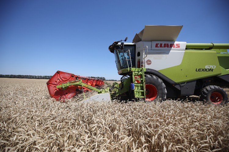 Налоги и кредиты отсрочат аграриям Кубани из-за засухи