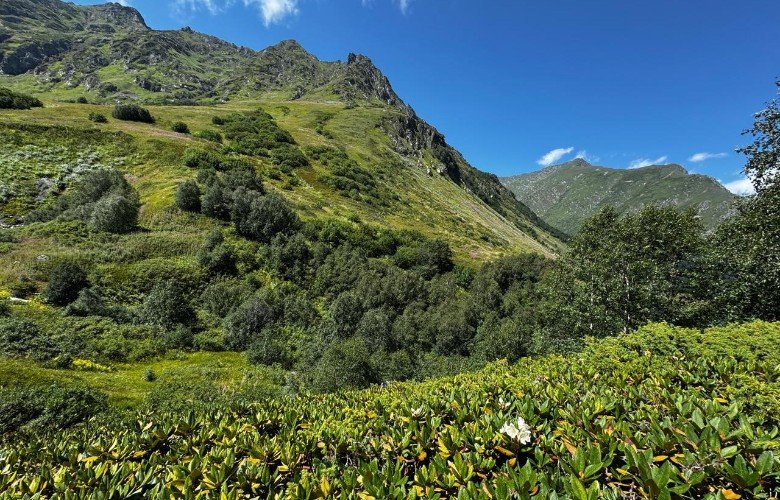 вид на горы