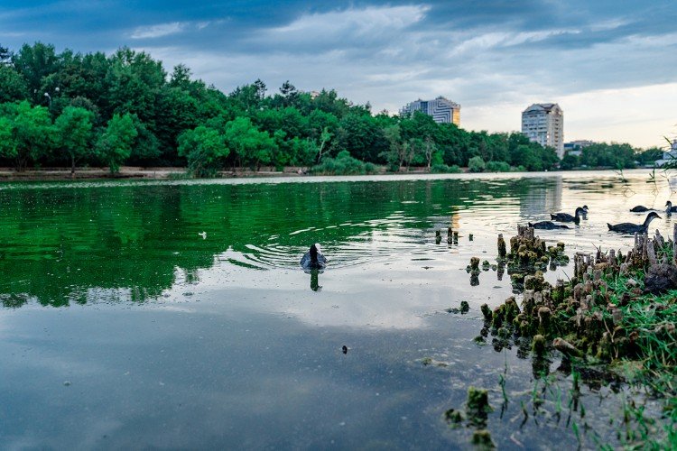 Озеро Карасун в Краснодаре