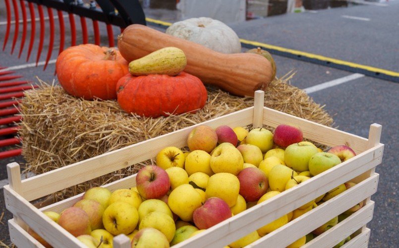 Яблоки и тыквы лежат красиво