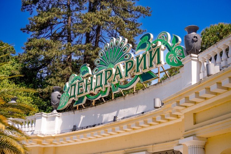 Вход в сочинский дендрарий