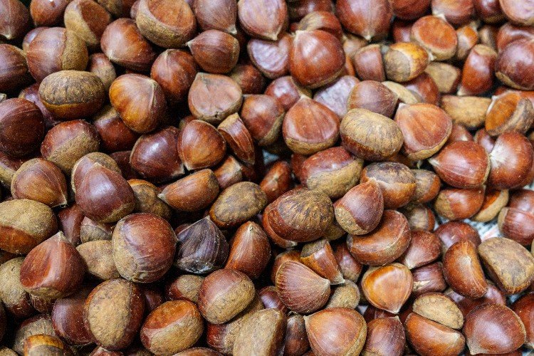 Каштаны лежат кучей