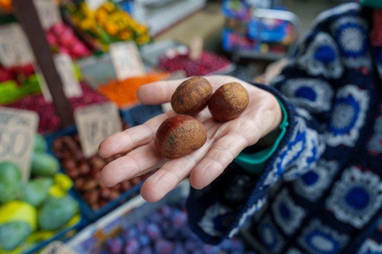 Каштаны лежат на руке