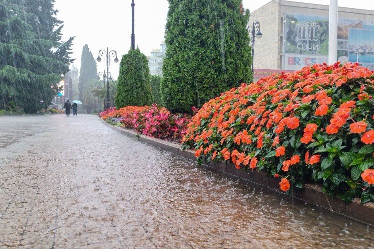 Сочи готовится к удару стихии. Ожидается шквалистый ветер до 18 м/с