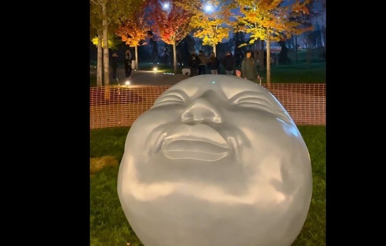 арт-объект - лицо человека