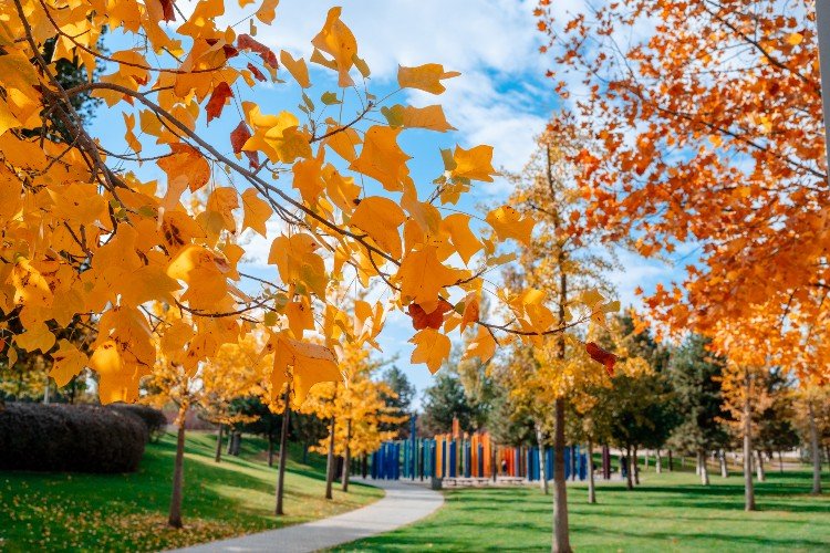 Циклонический вихрь повысил температуру в Краснодаре