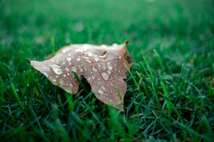 Продолжительные осадки и сильный ветер: каким будет ноябрь в Краснодарском крае