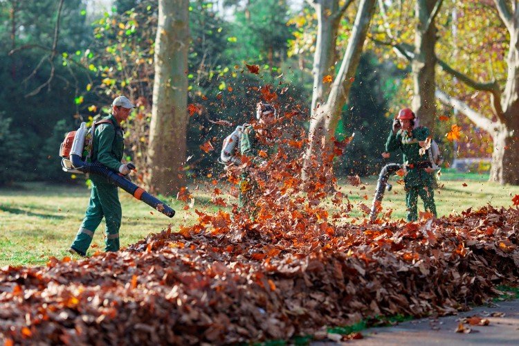 Короткая рабочая неделя стартует с теплом в Краснодарском крае