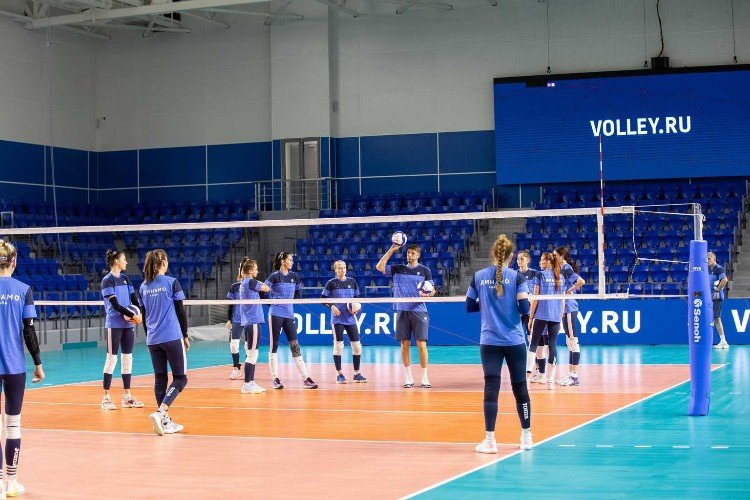 волейболисты стоит на площадке