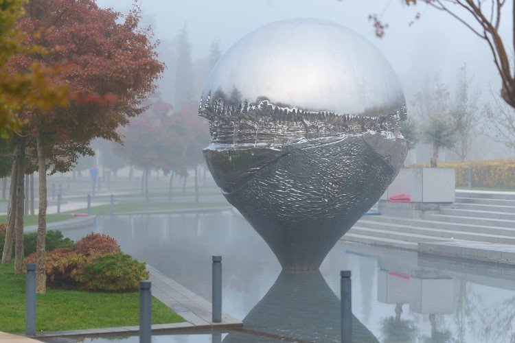 туман в парке