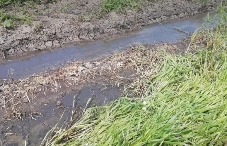 Загрязнение почвы от разлива навоза