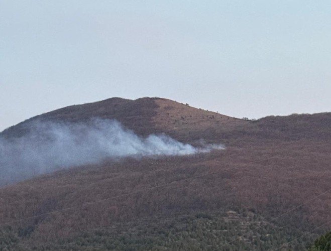 Лесной пожар