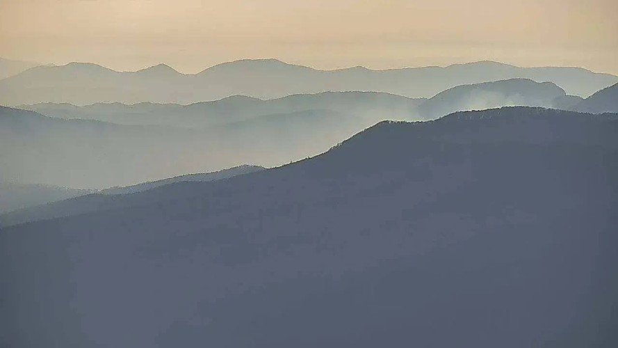 Более 13 гектаров леса горят в трех районах Краснодарского края