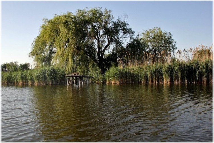 Река Кирпили