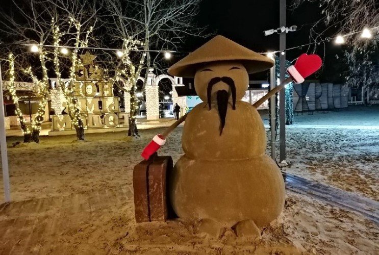 песковик стоит на пляже