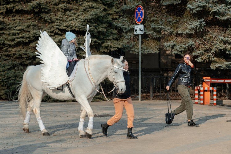 ребенок едет на лошади