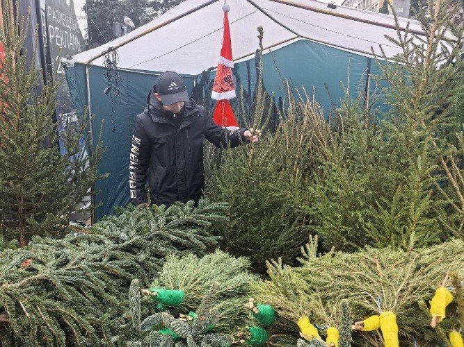 Ёлочные базары и новогодние ярмарки заработали в Сочи: полный список адресов