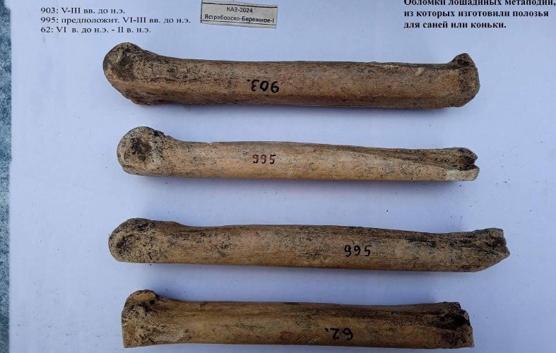 Коньки из костей