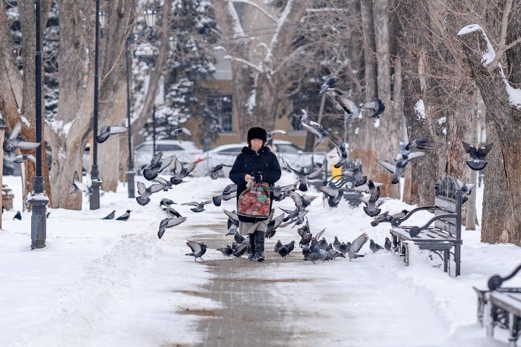 женщина с голубями в парке