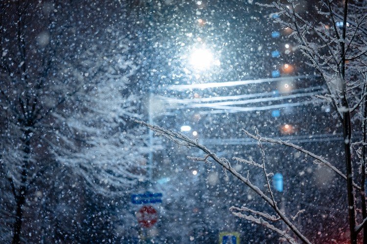 Пятая часть месячной нормы осадков выпадет за сутки в Краснодаре