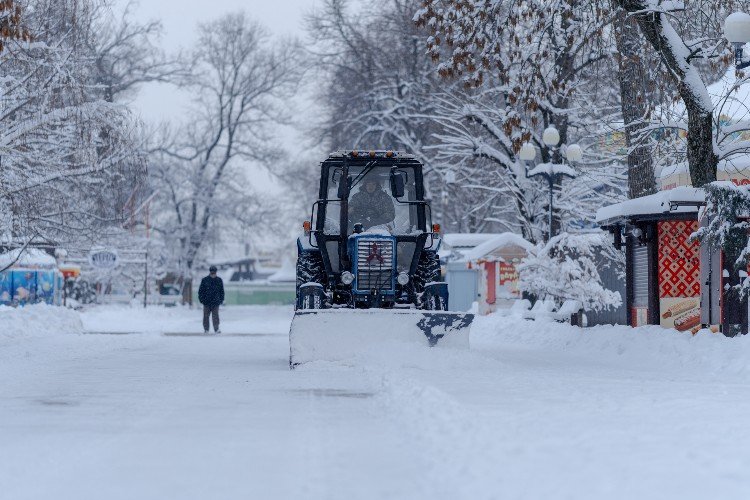 На 4-8 °C ниже нормы: испытание аномальным холодом ждет Краснодарский край