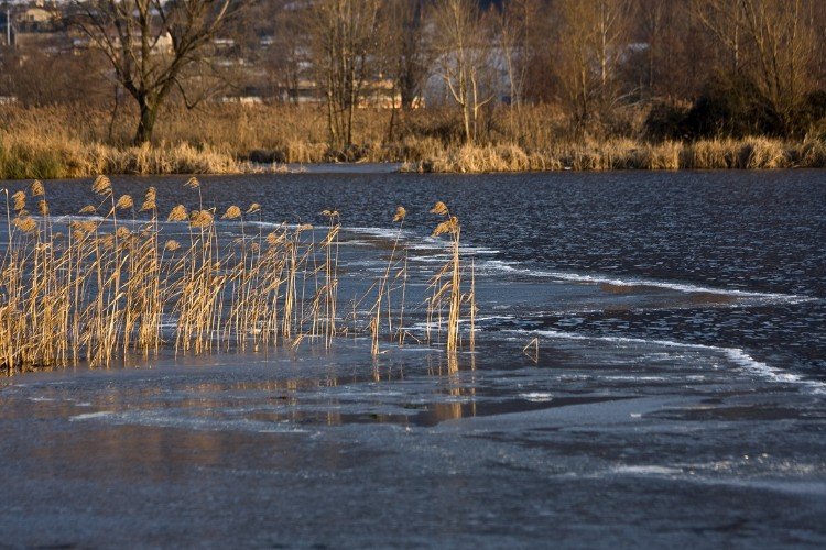 Сирены завыли в Крымском районе днем 24 января