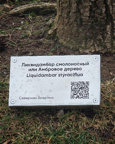 Прогулки по парку «Краснодар» стал познавательными: возле экзотических растений появились таблички